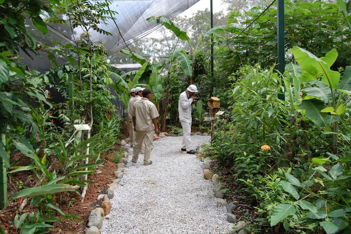 Gamboa Rainforest Reserve