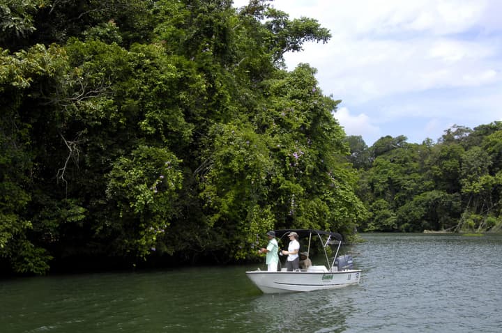 Gamboa Rainforest Reserve