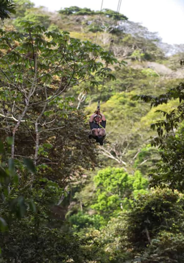Gamboa Rainforest Reserve