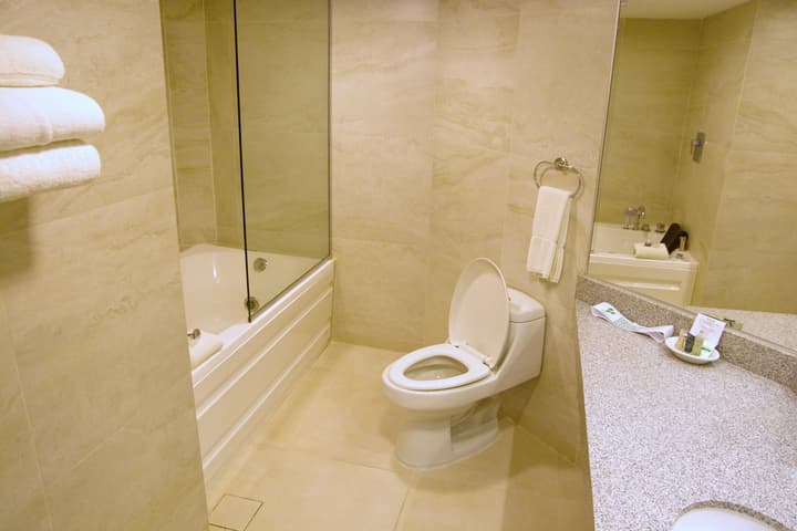 Hotel Presidente