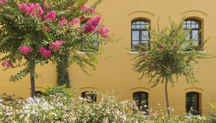 Four Seasons Hotel Istanbul at Sultanahmet - Special Class