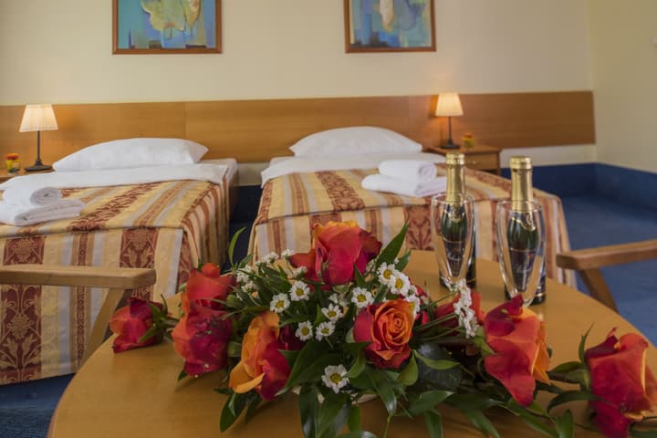 TOP HOTEL Praha & Conference Centre