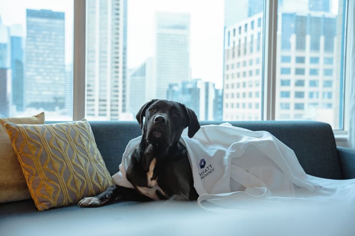 Hyatt Regency Calgary