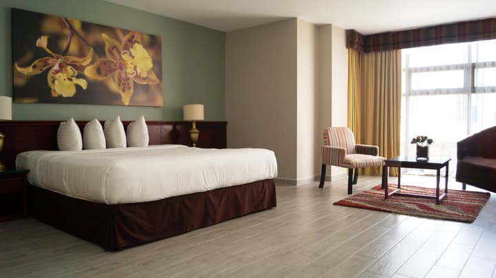Hotel Palma Real
