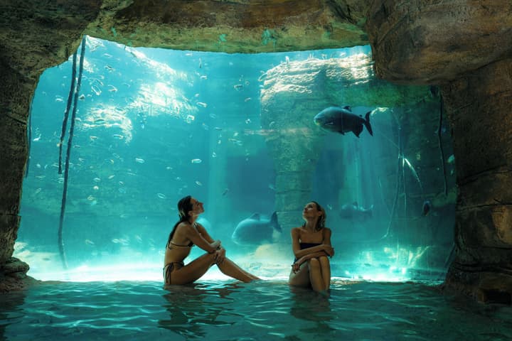 The Coral at Atlantis