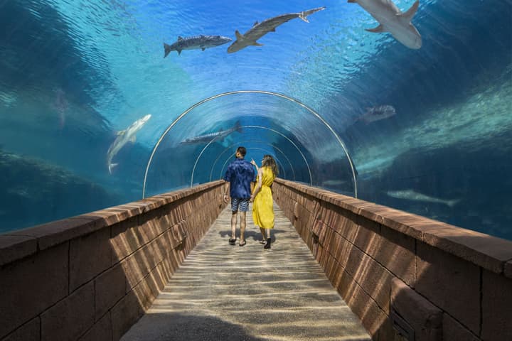 The Royal at Atlantis