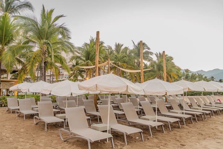 Friendly Fun Vallarta Different Experiences
