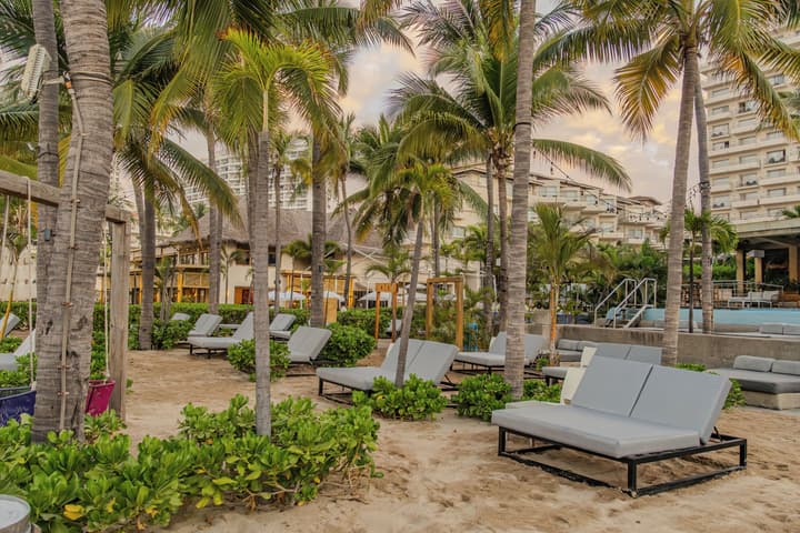 Friendly Fun Vallarta Different Experiences
