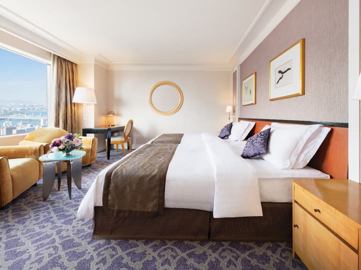 Hotel Hankyu International