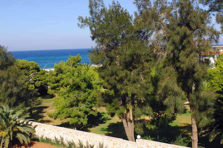 Hotel Palmyra Beach