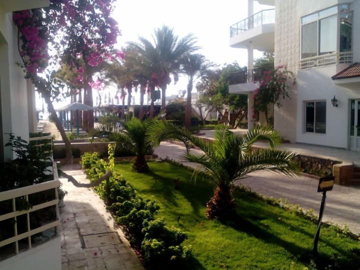 Minamark Resort & Spa, for families & couples only