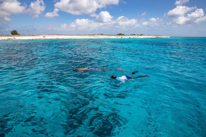 Harbour Village Beach Club Bonaire