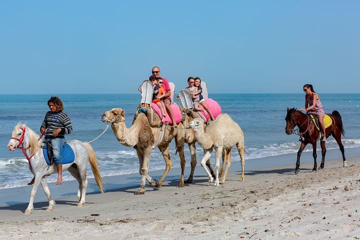 Palm Beach Club Djerba
