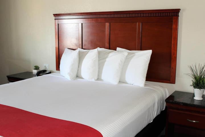 Rodeway Inn South San Francisco Airport