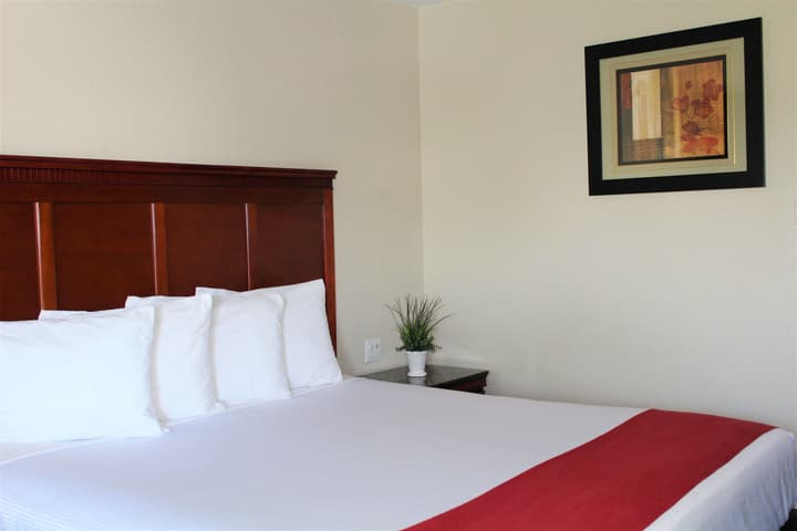 Rodeway Inn South San Francisco Airport