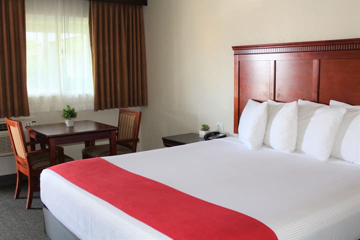 Rodeway Inn South San Francisco Airport