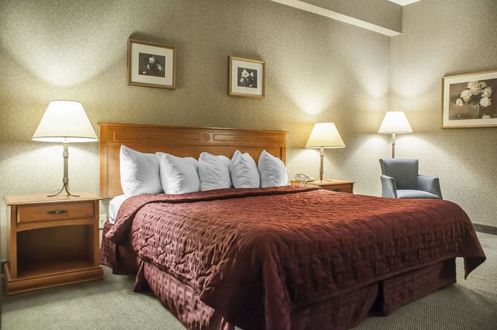 Comfort Inn Lundys Lane
