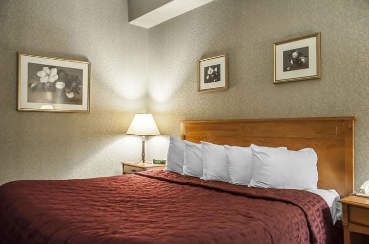 Comfort Inn Lundys Lane