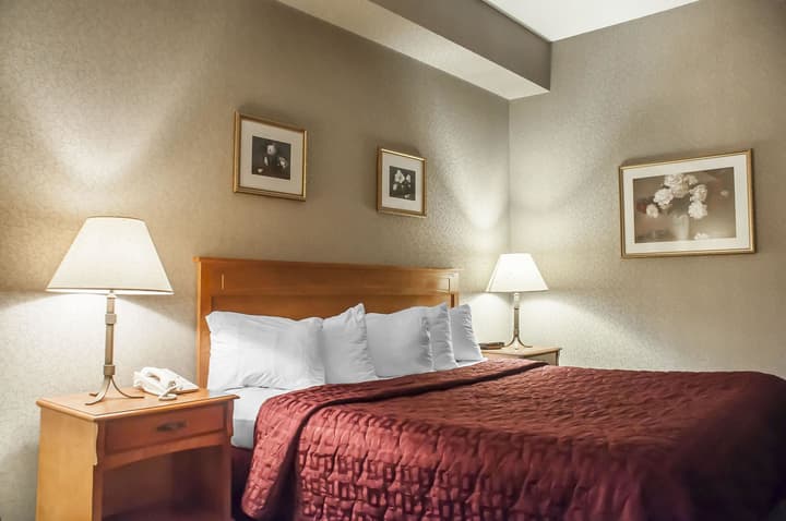 Comfort Inn Lundys Lane