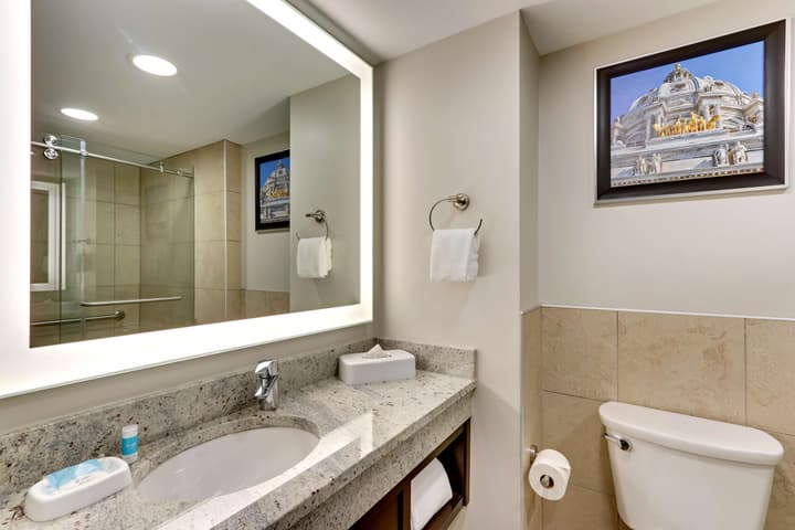 Drury Plaza Hotel St. Paul Downtown