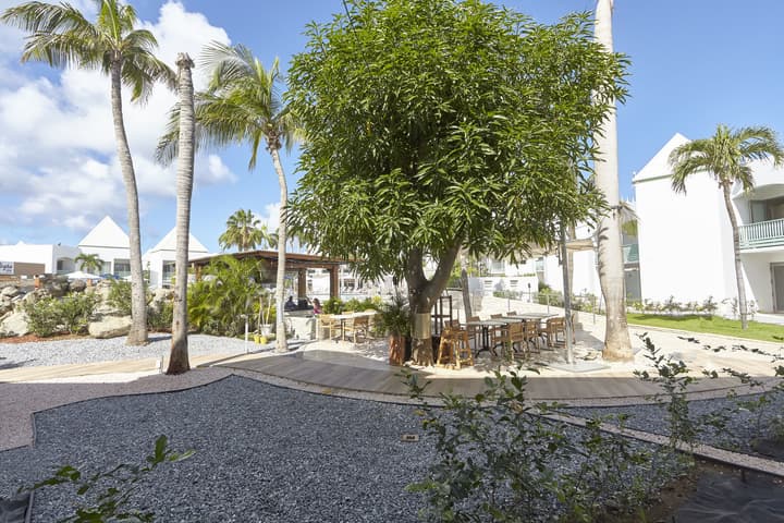 Courtyard by Marriott Aruba Resort