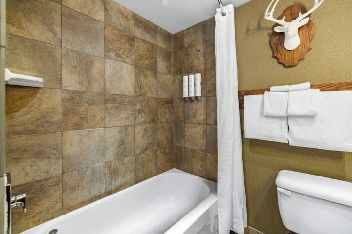 Banff Caribou Lodge and Spa