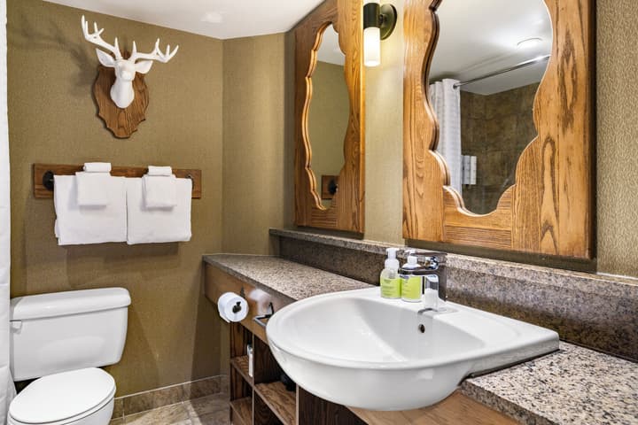 Banff Caribou Lodge and Spa
