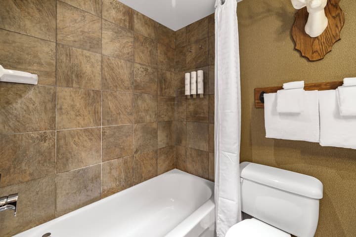 Banff Caribou Lodge and Spa