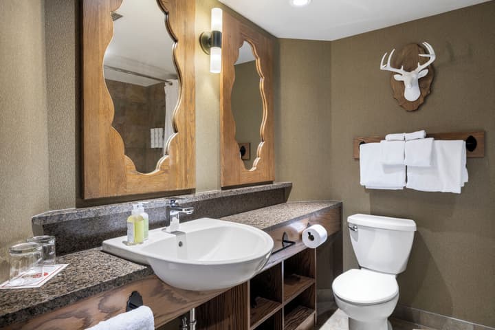 Banff Caribou Lodge and Spa