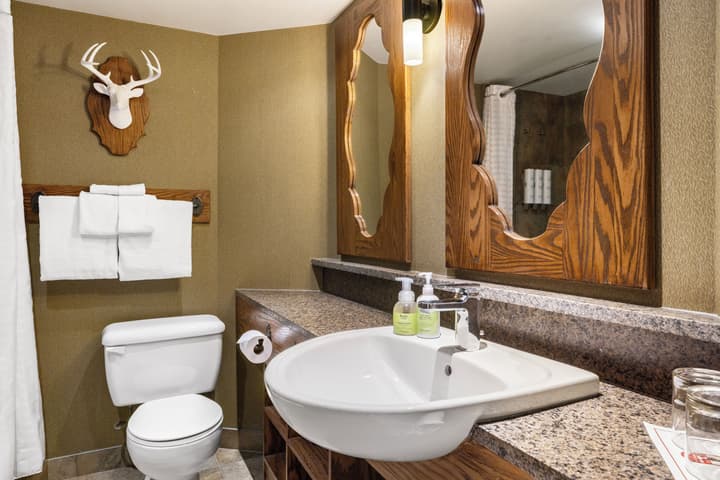 Banff Caribou Lodge and Spa