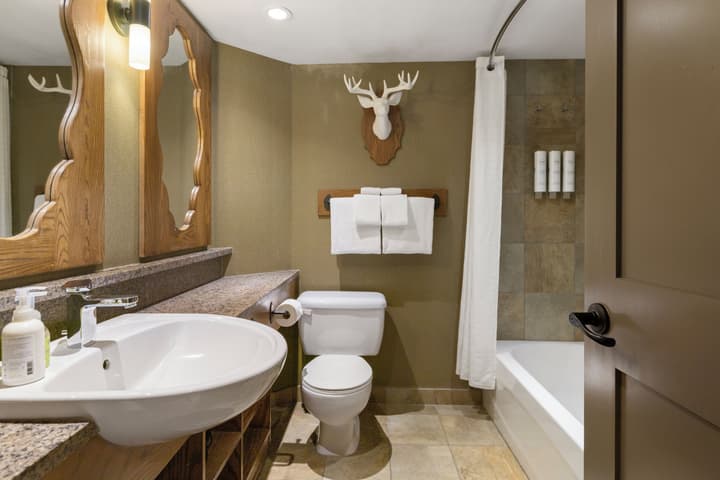 Banff Caribou Lodge and Spa