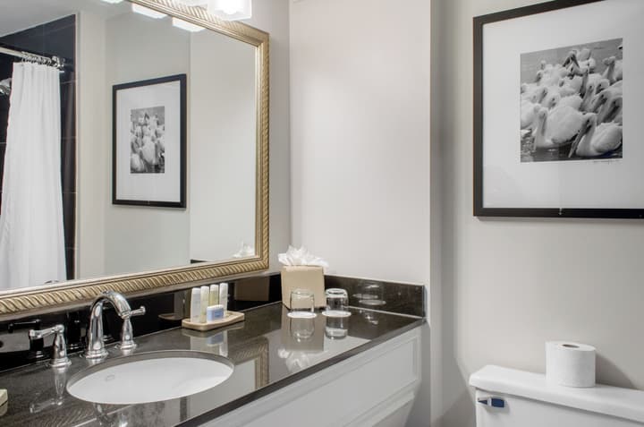 The Riverfront Hotel New Orleans