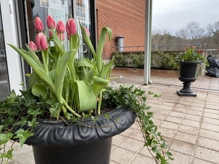 ProfilHotels Nacka