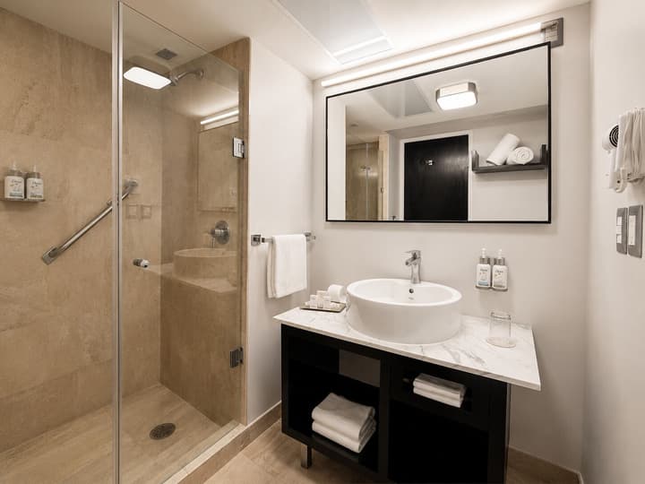 Laila Hotel Mexico City Reforma