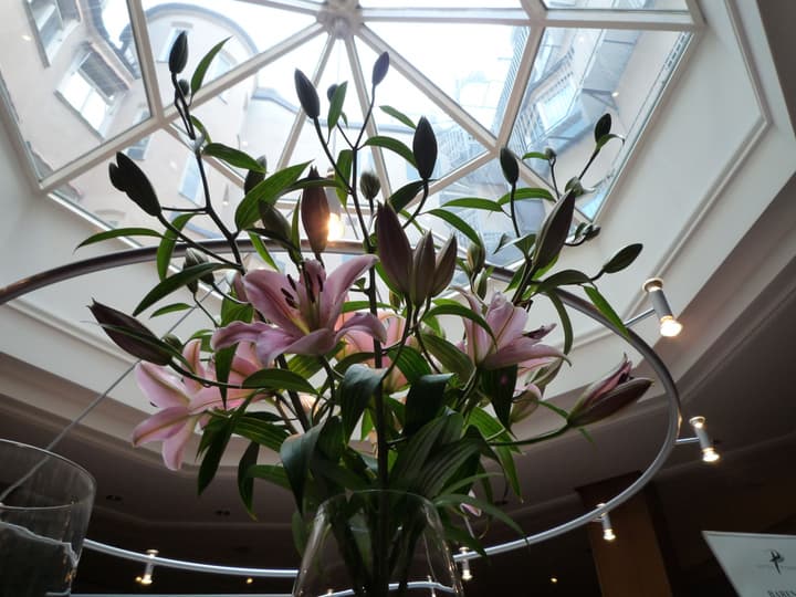 ProfilHotels Riddargatan