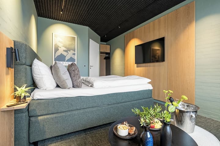 Hotel Hedegaarden