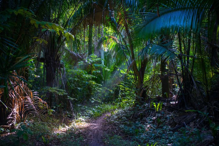 The Explorean Selva Maya Kohunlich