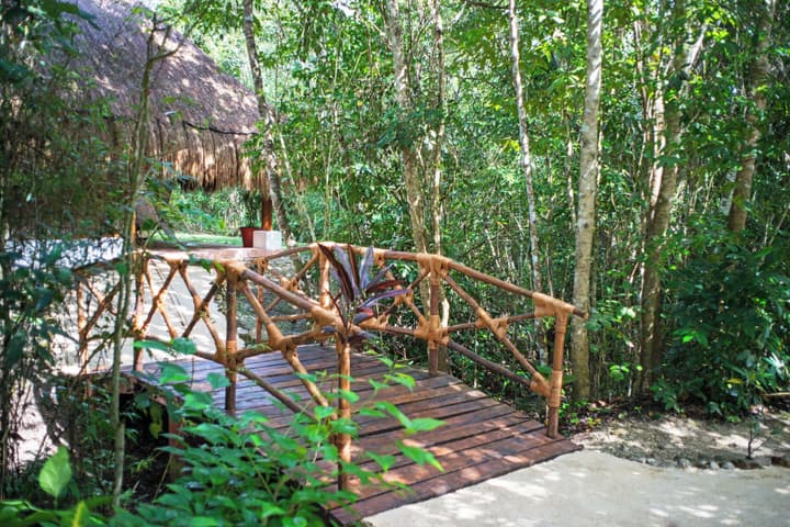 The Explorean Selva Maya Kohunlich