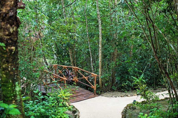 The Explorean Selva Maya Kohunlich
