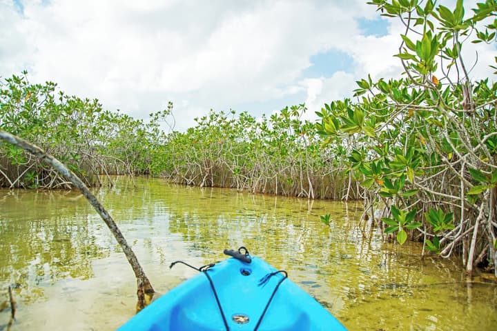 The Explorean Selva Maya Kohunlich