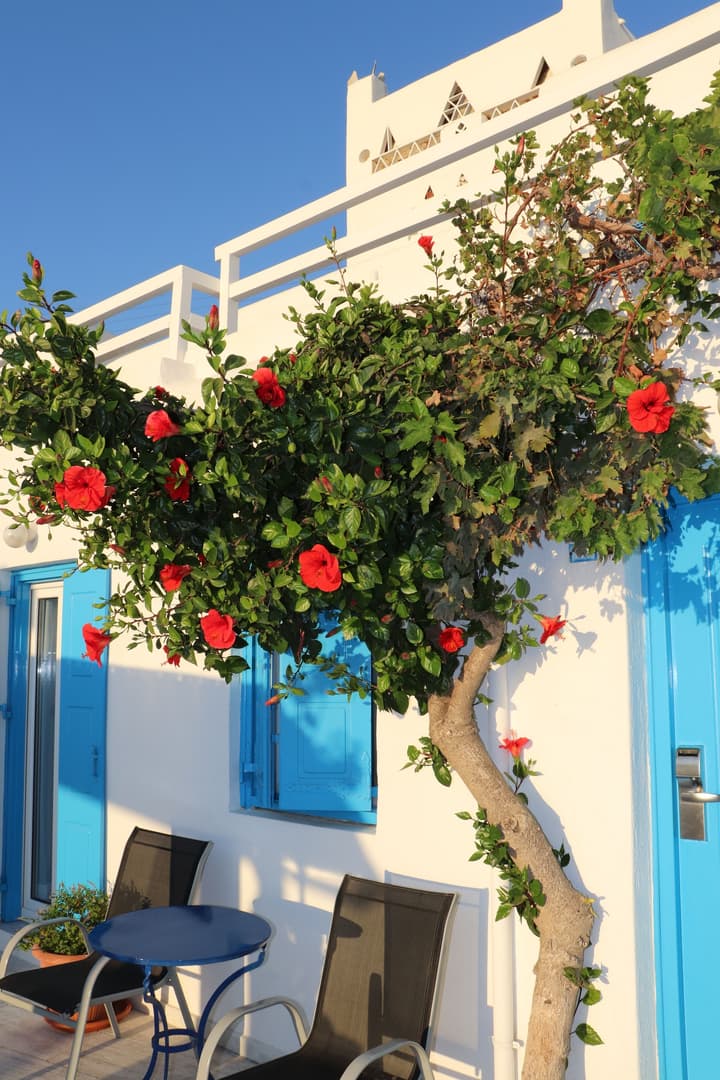 Hotel Madalena