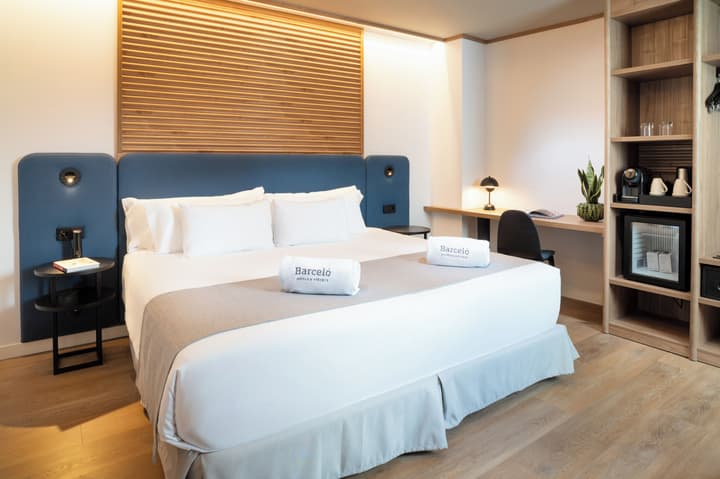Barceló Santa Cruz Contemporáneo