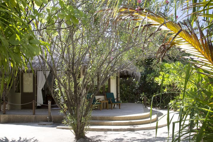 Coco Palm Dhuni Kolhu