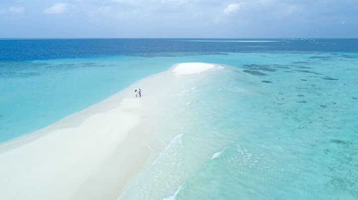 Taj Coral Reef Resort & Spa Maldives – A Premium All Inclusive Resort