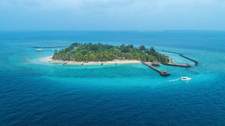 Taj Coral Reef Resort & Spa Maldives – A Premium All Inclusive Resort