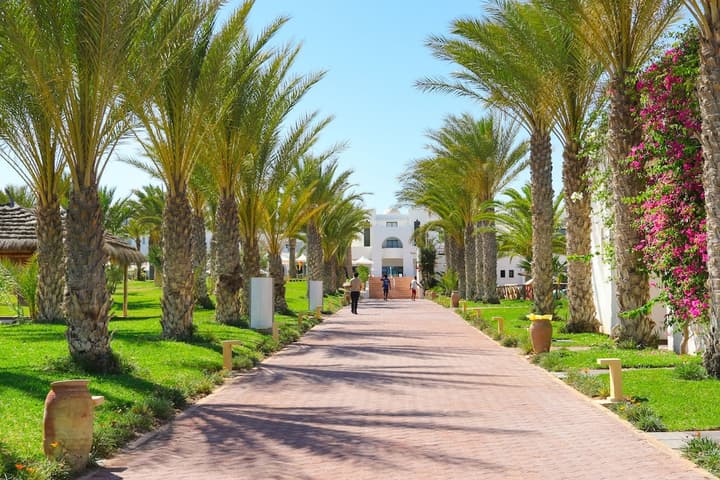 Club Palm Azur