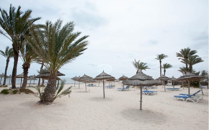 Club Palm Azur