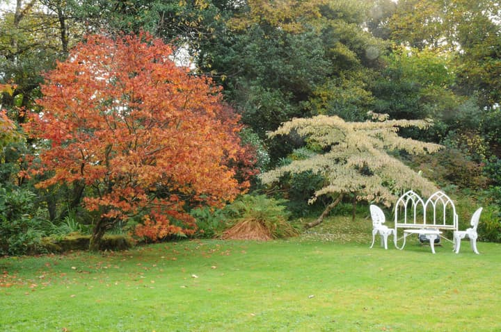 Cashel House Hotel