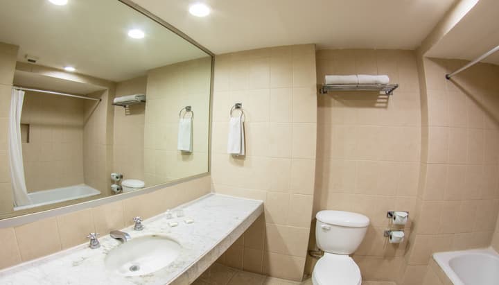 Hotel Fenix