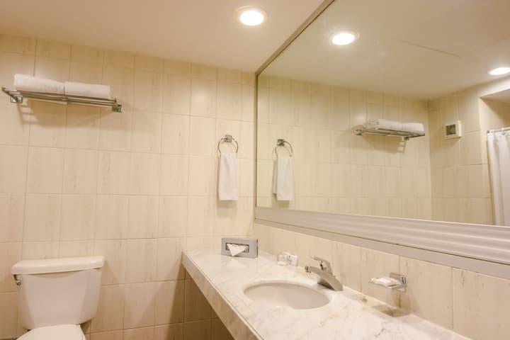 Hotel Fenix
